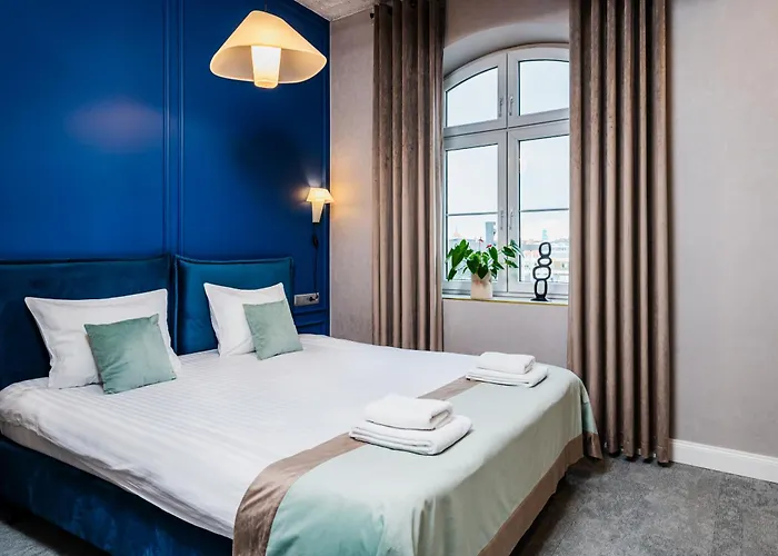 Focus Premium By Focus *