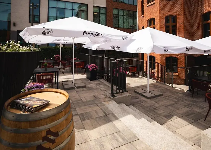 Focus Premium By Focus *